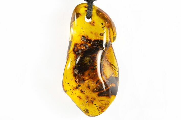 Polished Chiapas Amber ( g) Necklace - Mexico #304402